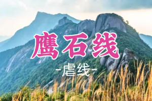 即将成团！189元起，元旦1.1晚-1.2【鹰石线】探索原始森林巨石阵