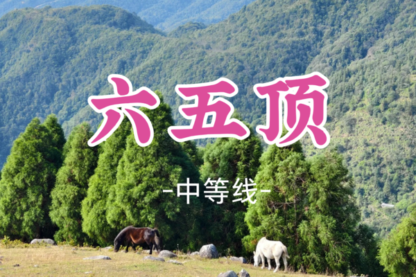 即将成团！五一5.2晚-5.3【广西六五顶】别人以为你去了阿勒泰！小红书火爆出圈“那拉提”版高山草原，北欧同款塔状杉树林