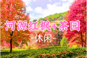 即将成团！109元起！周四12.18【河源红枫】 漫步