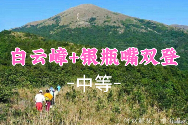 即将成团！65元起！【中等-白云嶂】清明4.5 白云嶂漫山草甸，银瓶嘴东莞第一峰-