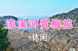 转发半价！即将成团！89元起！周日12.28【赏花】从化流溪河+赏东星村千亩梅花