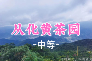 即将成团！89元起! 周六12.20 【黄茶园13公里】【从化十登·黄茶园】从化第三峰黄茶园 俯瞰溪头村全景