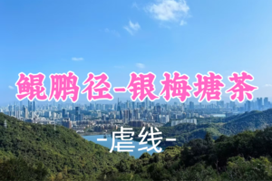 即将成团！9元起！周六2.7 梦白领队【银梅塘茶22公里】9点泥岗地铁C口集合【徒步鲲鹏径七八段银梅塘茶】