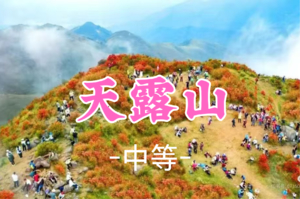 成团！108元起！周四4.2【天露山16公里】徒步云端草原，邂逅千亩高山杜鹃花海