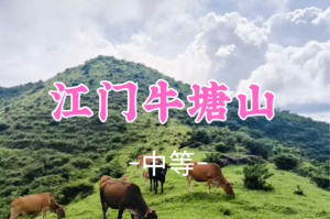 即将成团！109元起！周六12.20【牛塘山8公里】江门最美草原，醉美高山草甸，徒步牛塘山