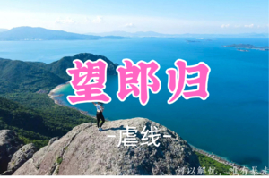 【登高节送徽章】即将成团！甲乙领队，65元起！周六11.8 【望郎归13公里】望郎归海岸徒步穿越，大鹏无敌看海打卡点