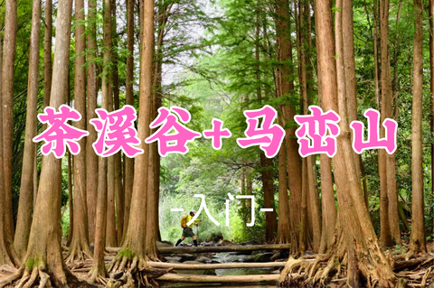 即将成团！49元起！秋假11.19【马峦山+茶溪谷12公里】徒步马峦山郊野公园瀑布群+茶溪谷+大华兴寺，仙境级路线