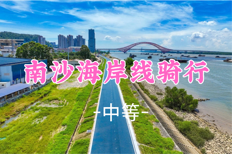 即将成团！99元起！周日8.30 悟空领队【南沙骑行50公里 】南沙最美海岸线骑行