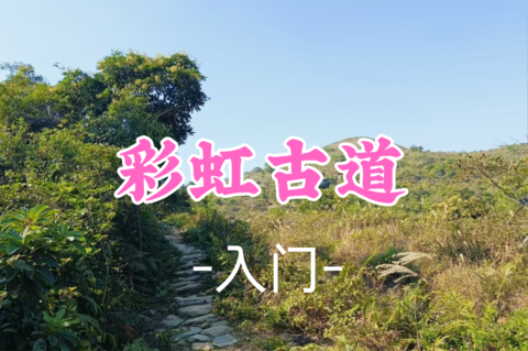 即将成团！89元起！秋假11.20【彩虹古道11公里】江门彩虹古道徒步，品尝龙口牛肉
