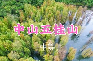 即将成团！ 85元起！周六12.20【五桂山10公里】中山五桂山走进神 秘的西坑尾，邂逅最美水杉林
