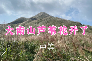 即将成团！阿坤领队，（芦苇花开了）55元起！周六11.8 【大南山13公里】惠东大南山芦苇草原，广东版
