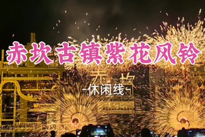 即将成团！298元起！元旦1.1-1.2【赤坎古镇+紫花风铃2天】跨年 火秀 花车巡演