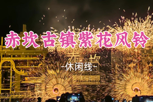 即将成团！298元起！元旦1.1-1.2【赤坎古镇+紫花风铃2天】跨年 火秀 花车巡演