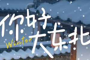 元旦12.30/1.1【你好！大东北5天】2-8人舒适小团延吉+图们+长白山+雪岭+雪乡+亚雪公路+滑雪+马拉爬犁