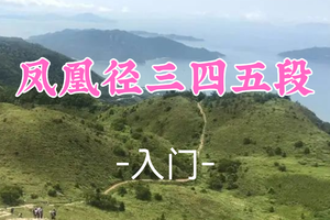 即将成团！178元起！周六12.13【凤凰径三 -四 -五段】香港凤凰山昂坪大佛13公里穿越