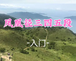 即将成团！178元起！周日1.18【凤凰径三 -四 -五段】香港凤凰山昂坪大佛13公里穿越