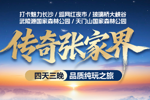 天天发团/元旦成团 【传奇张家界4天】含动车往返 纯玩湖南  魅力长沙 玻璃桥大峡谷 武陵源国家森林公园 天门山森林公园