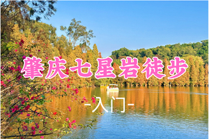 即将成团！85元起！周六12.20“七星岩落羽杉黄了”【七星岩12公里 】 星湖徒步12公里休闲摄影，赏七星岩湖光山色