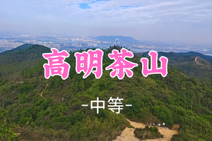 即将成团！89元起！周六12.20【高明茶山鸡12公里】徒步高明茶山，品尝地道茶山鸡