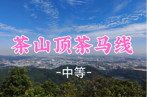 即将成团！89元起！周六12.20【茶马线8.8公里 】东莞大岭山茶山顶-亲子徒步线路·茶马线