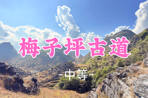 即将成团！118元起!  周日1.11【梅子坪古道9公里】阳山沙磅穿英德大湾梅子坪