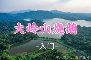 即将成团！69元起！周六2.7游侠领队【大岭山11公里 】东莞大岭山徒步小环线+品尝当地荔枝柴烧鹅