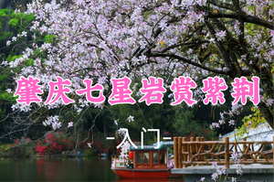 穿汉服免费进景区限本周！即将成团！85元起！周日3.29【七星岩12公里 】 星湖徒步12公里休闲摄影，赏七星岩湖光山色