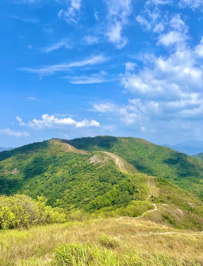 1761555892588028273.jpg 微信图片_20251027165314_1749_29.jpg