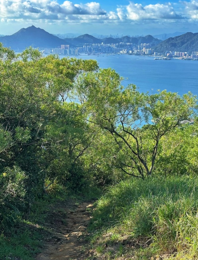 1761555926283074410.jpg 微信图片_20251027165318_1750_29.jpg