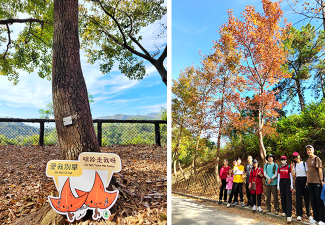 1702261970009014014.jpg 2.jpg