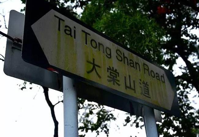 五五户外麦理浩径十段大棠枫香 五五户外麦理浩径十段大棠枫香