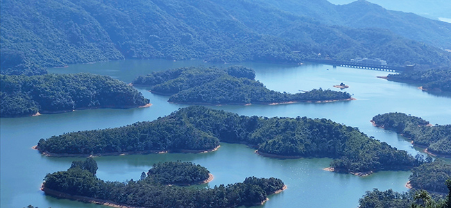 1702026305855003871.jpg 2.jpg