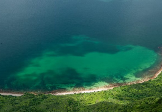 1739784364144067610.jpg 微信图片_20250217164701.jpg