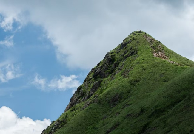 1739784373416027050.jpg 微信图片_20250217164727.jpg