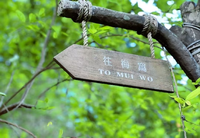 1760152752034008447.jpg 微信图片_20251011103218_61_548.jpg