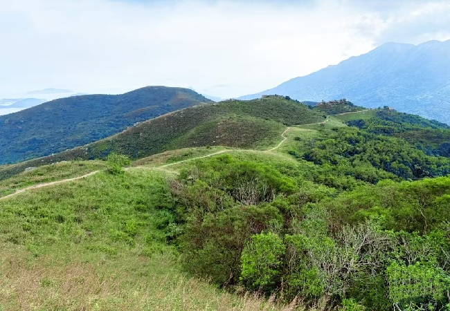 1760153058778039766.jpg 微信图片_20251011103222_65_548.jpg