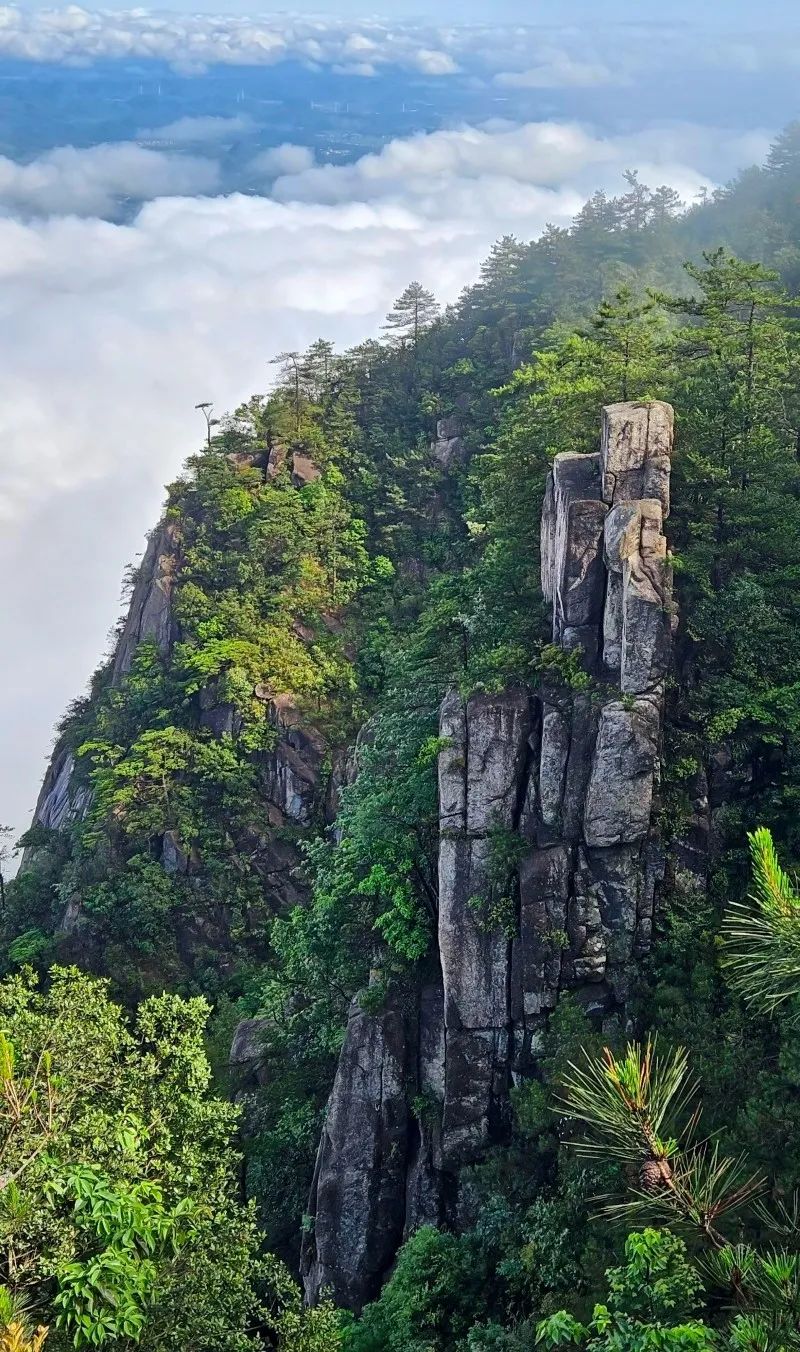 微信图片_202409241559432.jpg 图片