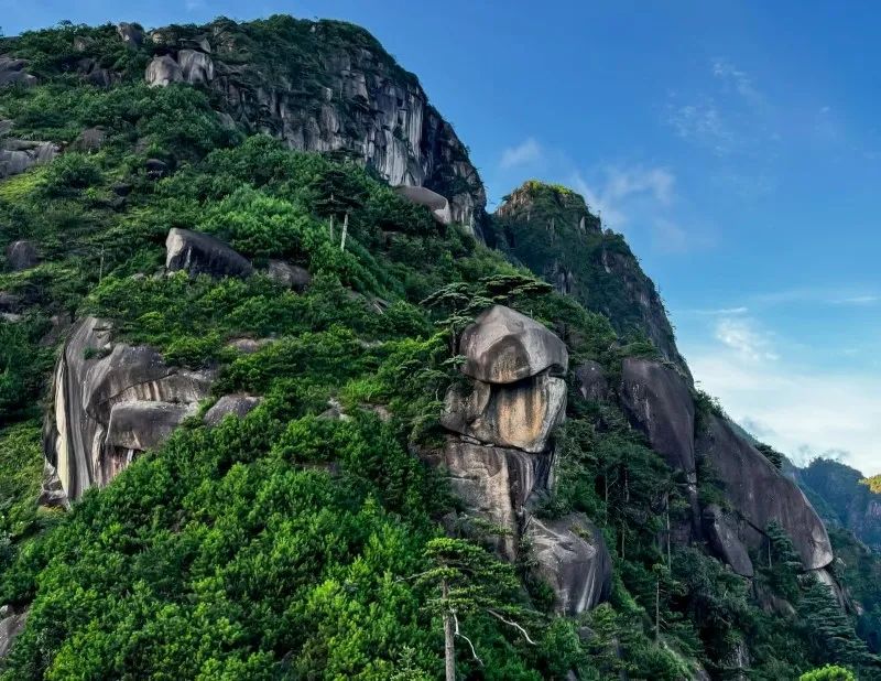 微信图片_202409241559442.jpg 图片