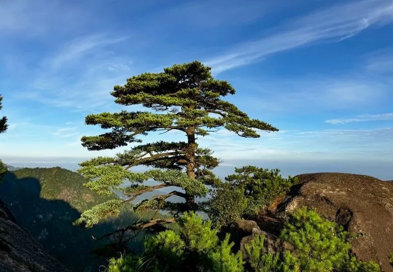 微信图片_202409241559443.jpg 图片