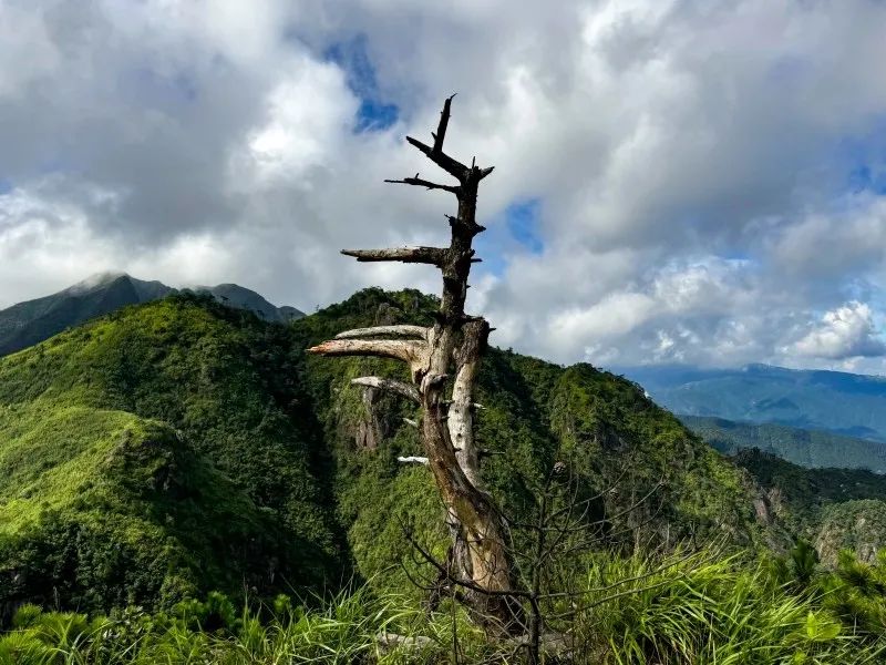 微信图片_202409241559451.jpg 图片