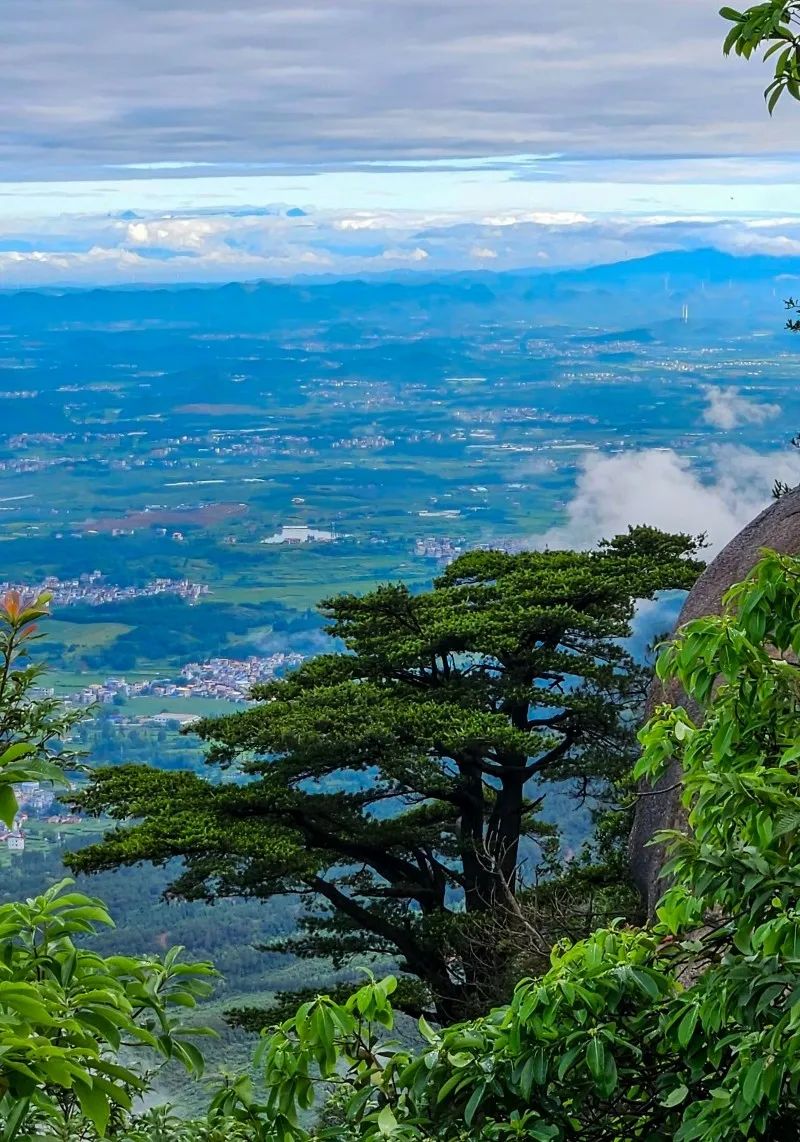 微信图片_20240924155942.jpg 图片