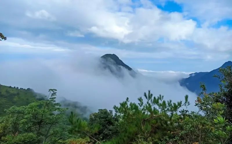 微信图片_20240924155946.jpg 图片