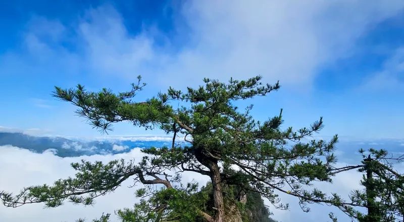 微信图片_202409241559422.jpg 图片