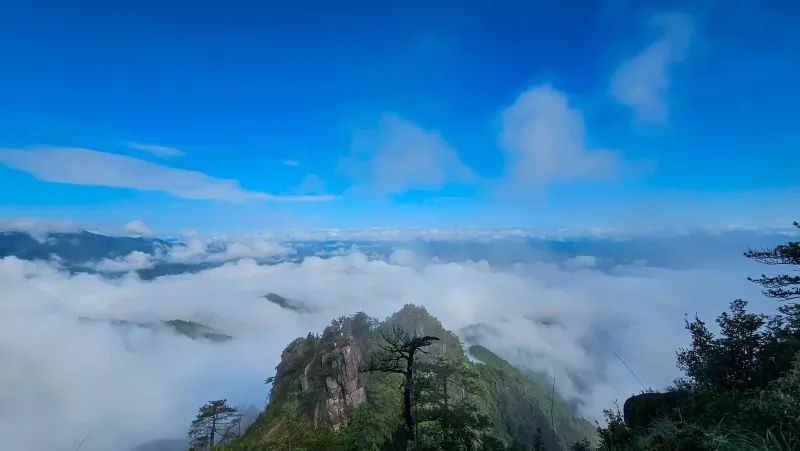 微信图片_202409241559431.jpg 图片