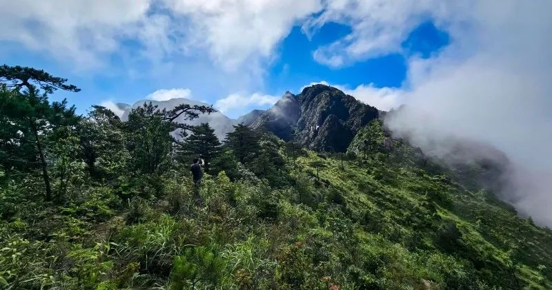 微信图片_202409241559441.jpg 图片