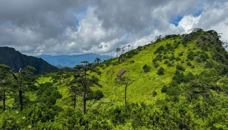 微信图片_202409241559452.jpg 图片