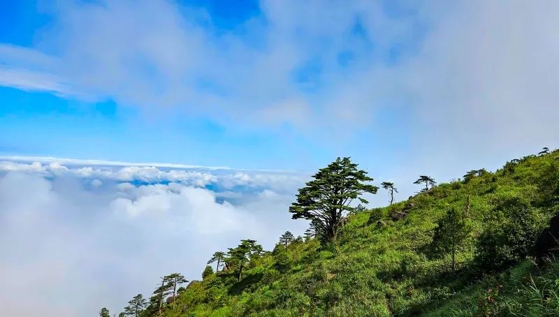 微信图片_20240924155944.jpg 图片