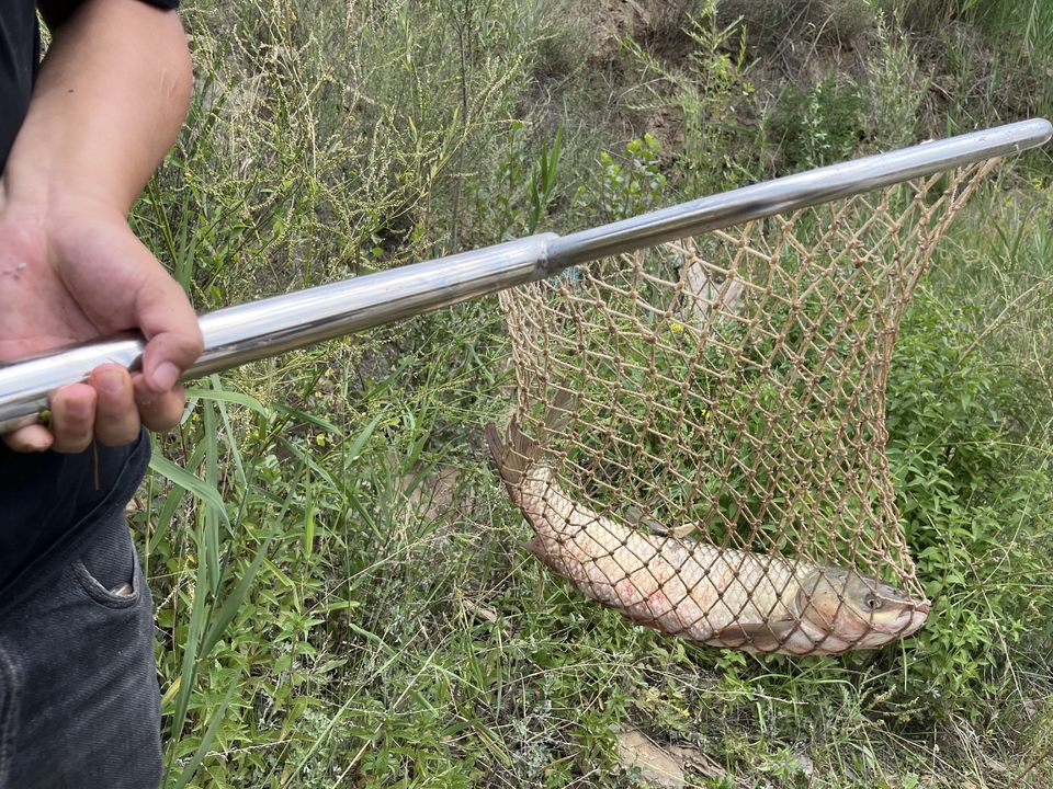 微信图片_20240701144608