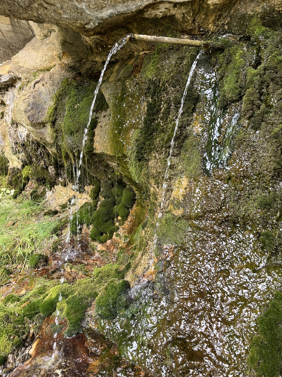 微信图片_20240701145100