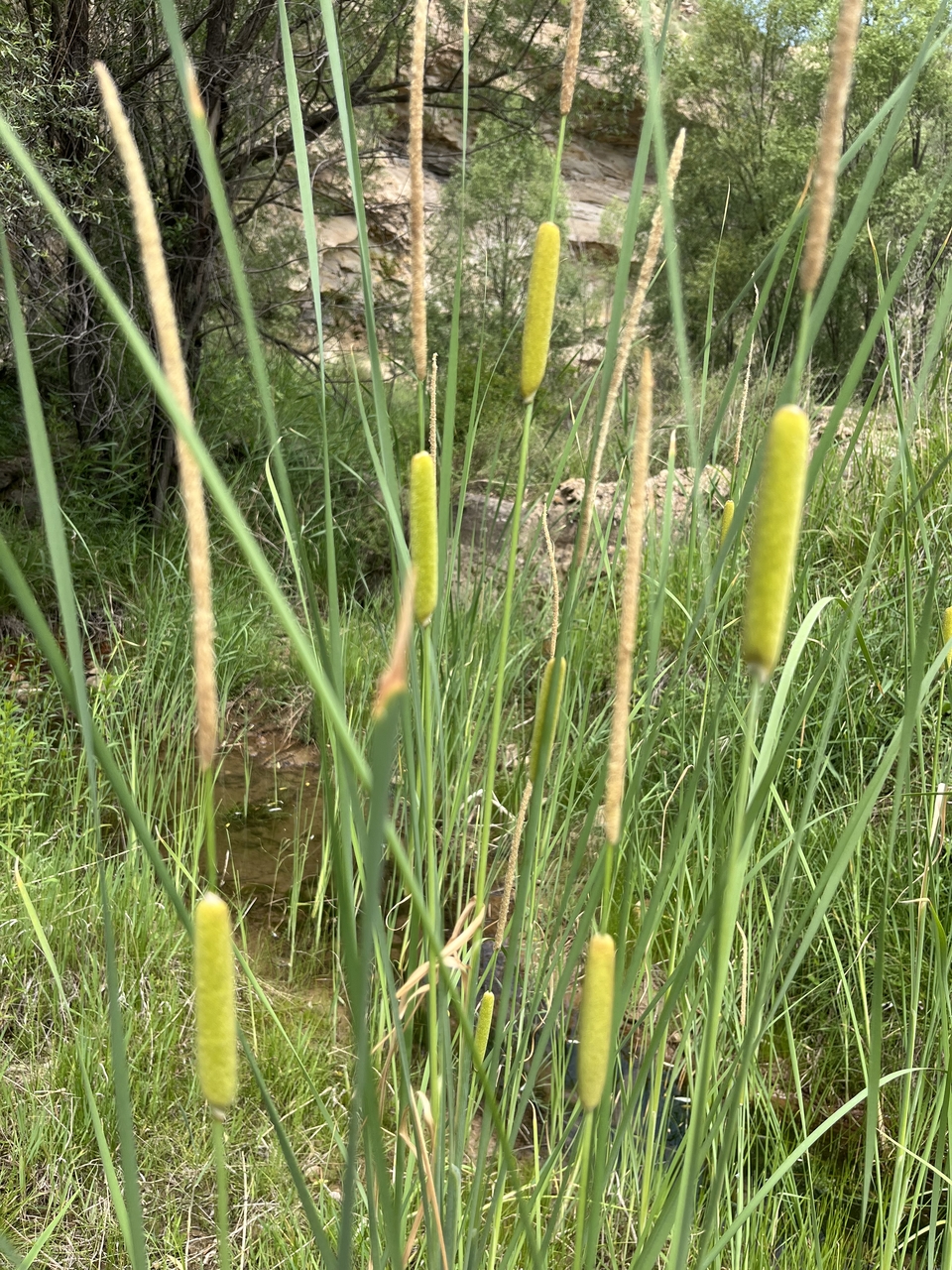 微信图片_20240701145409